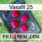 Vasafil 25 13